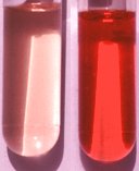 [hemolysis.jpg]