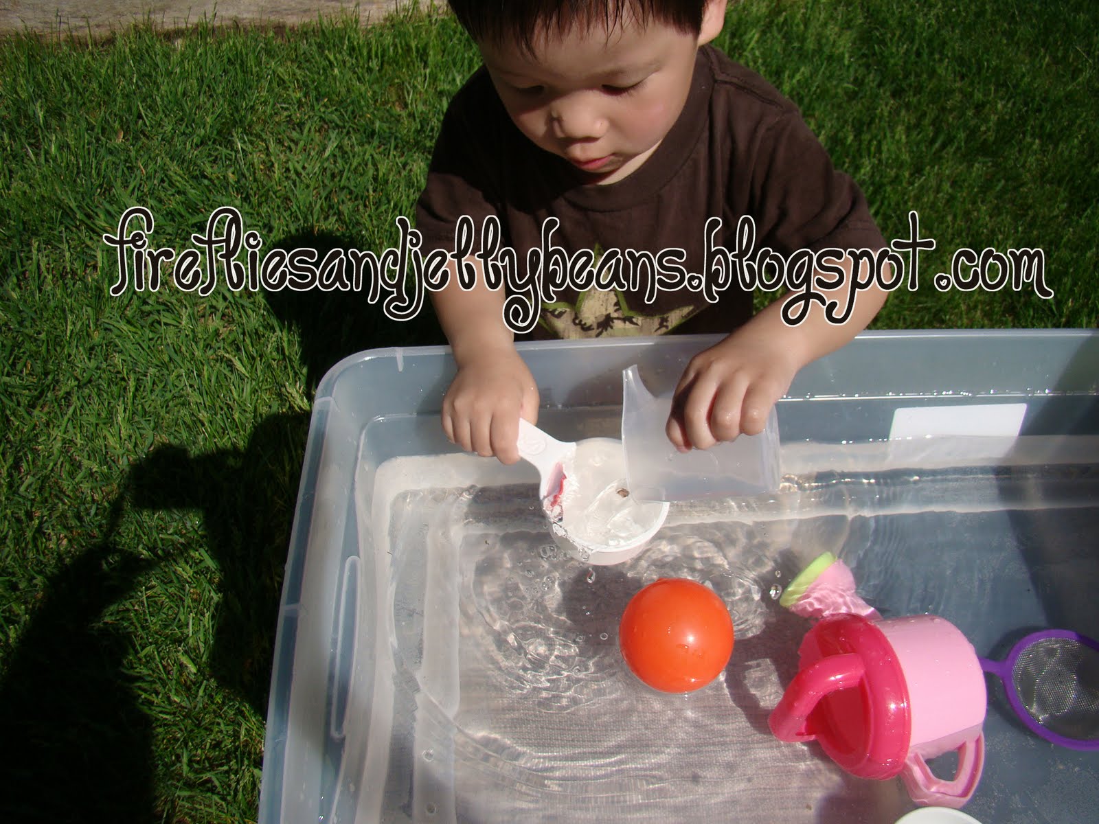 Fireflies and Jellybeans Make Your Own Water Table!