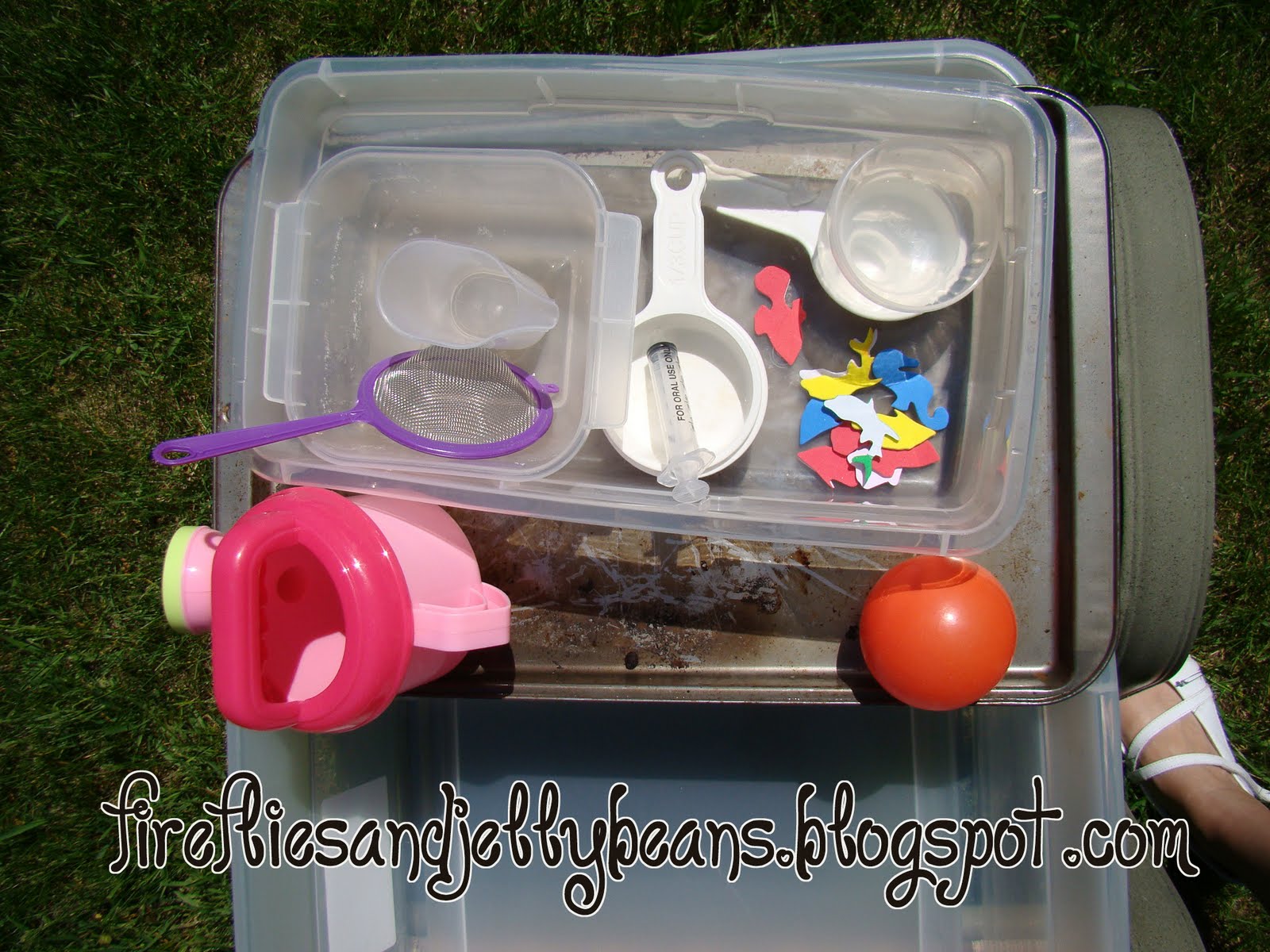 Fireflies and Jellybeans Make Your Own Water Table!