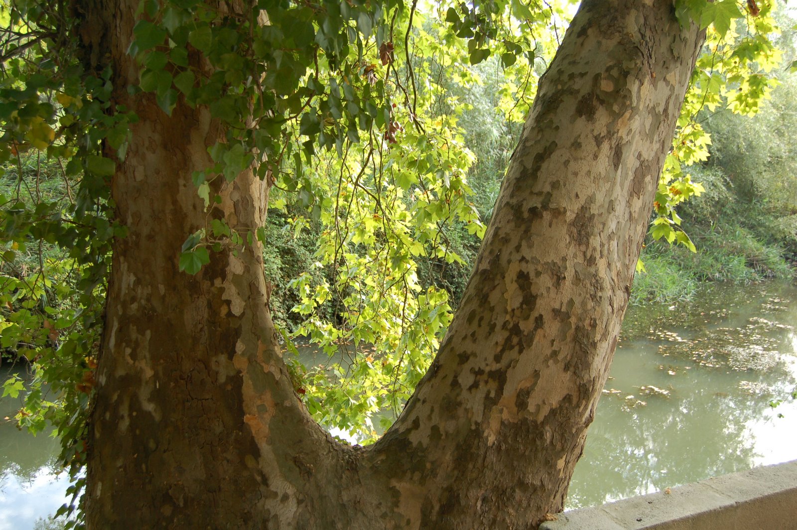 [DSC_0010.JPG]