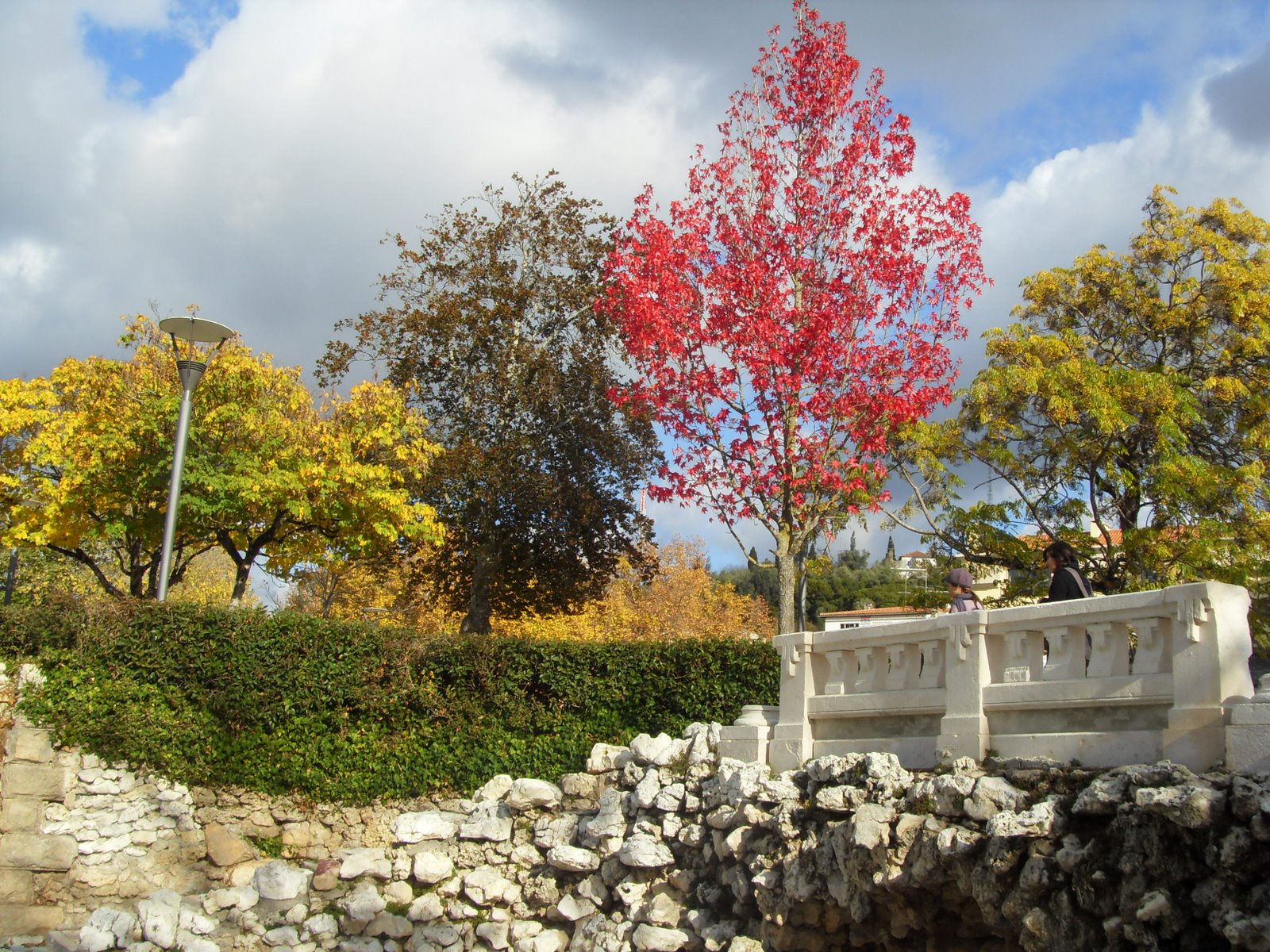 [SDC10565.JPG]