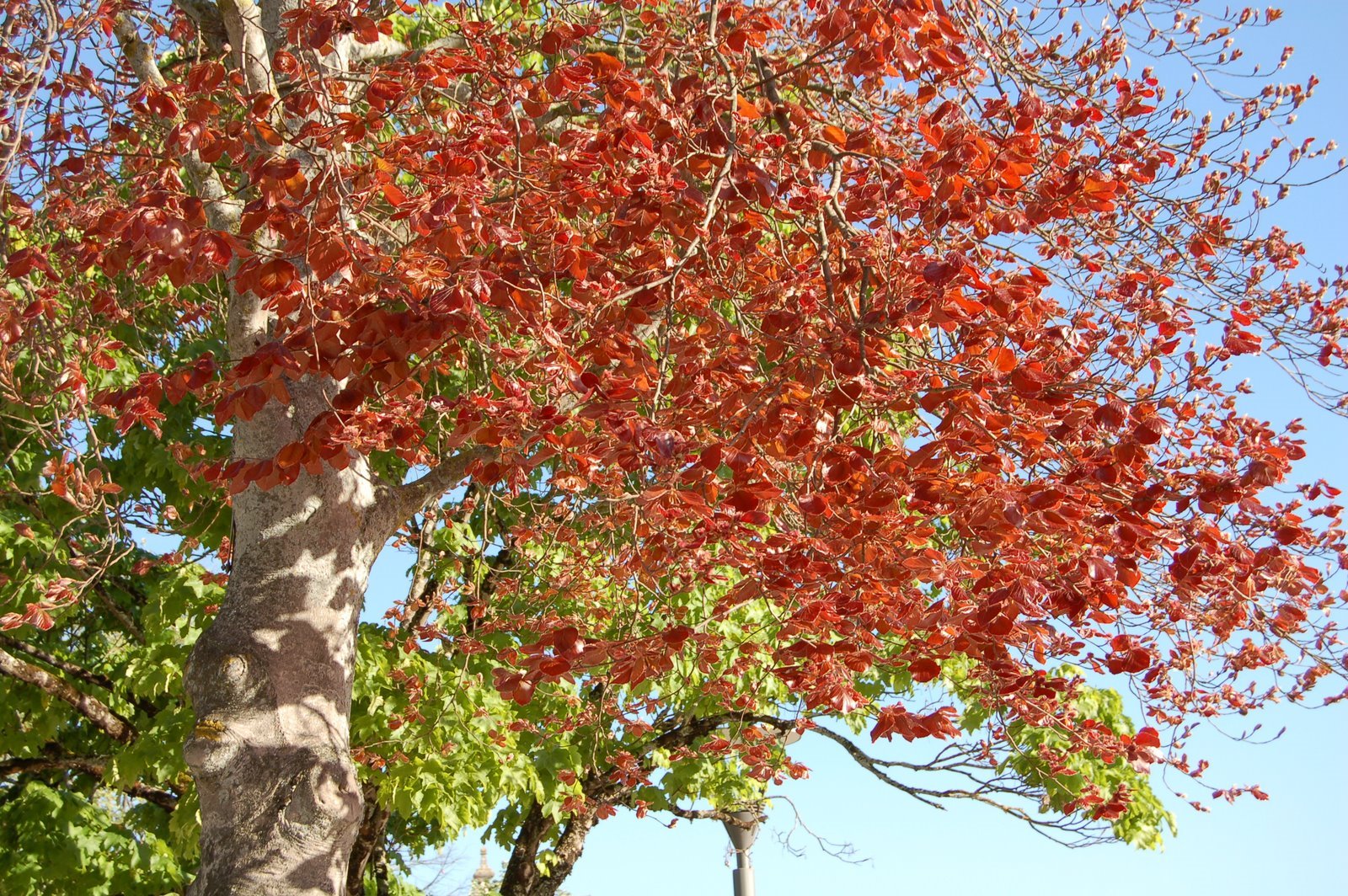 [DSC_0055.JPG]