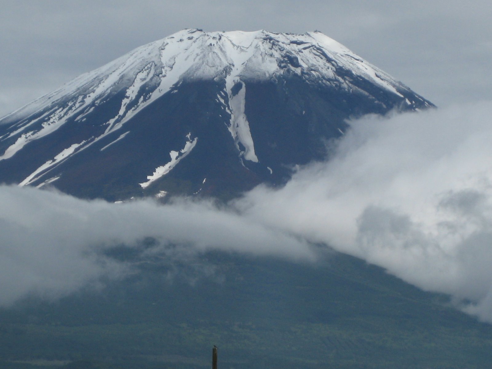 [IMG_2203.JPG]