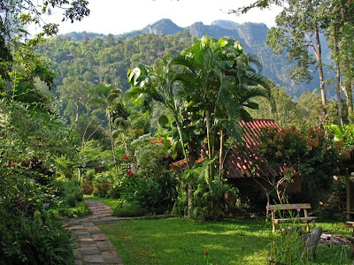 Doi Chiang Dao