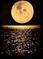 [Fullmoon1.jpg]