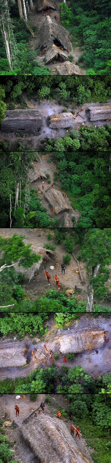 [new+amazon+tribe.jpg]