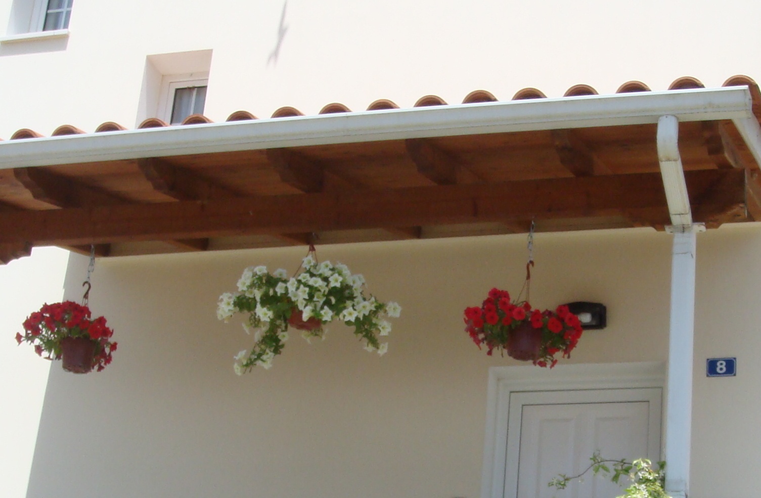 [hanging+baskets.JPG]