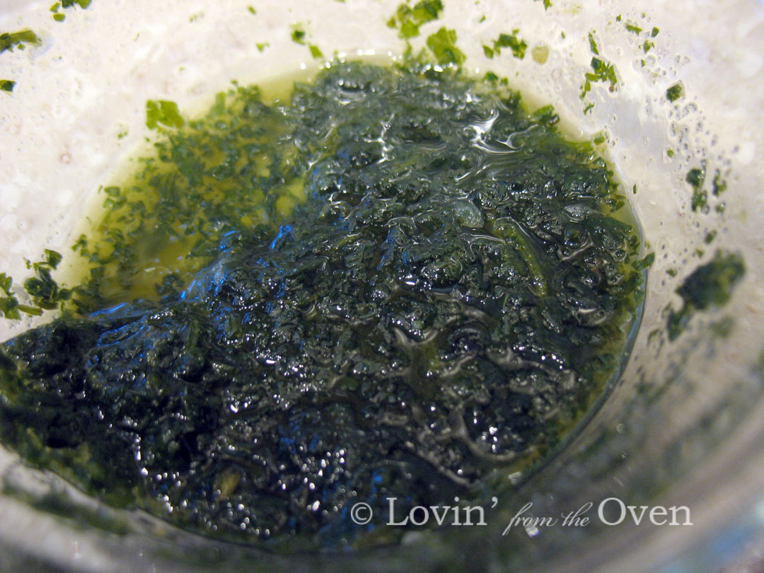 [Lime+Rice7+Cilantro.JPG]