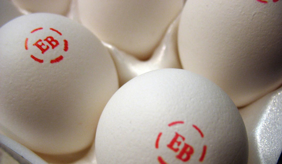 Frieda Loves Bread Eggland's Best Eggs Review