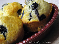 Fresh Blueberry Muffin Fresh Blueberry Muffin