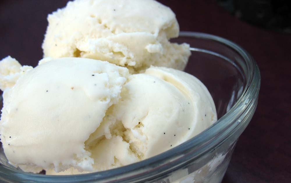 Frieda Loves Bread Fresh Vanilla Bean Ice Cream No Eggs!