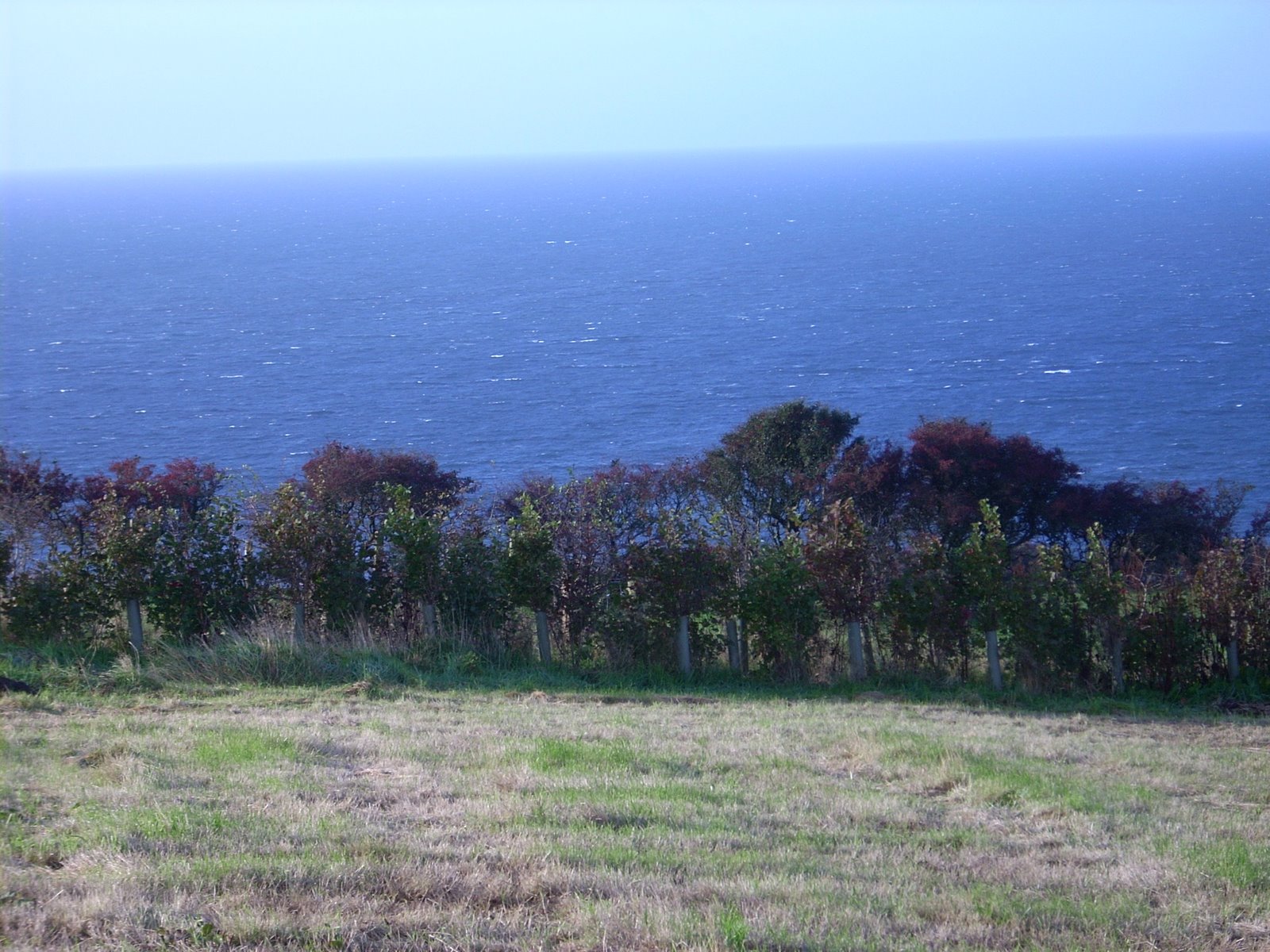 [DSCN0153.JPG]