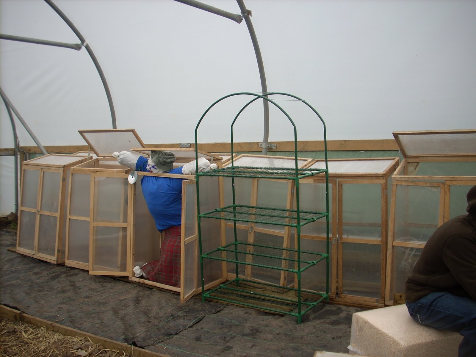 [propagator+cabinets.JPG]