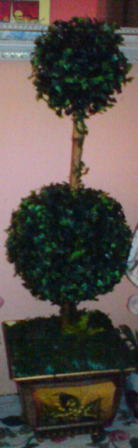 Pasu Plastik