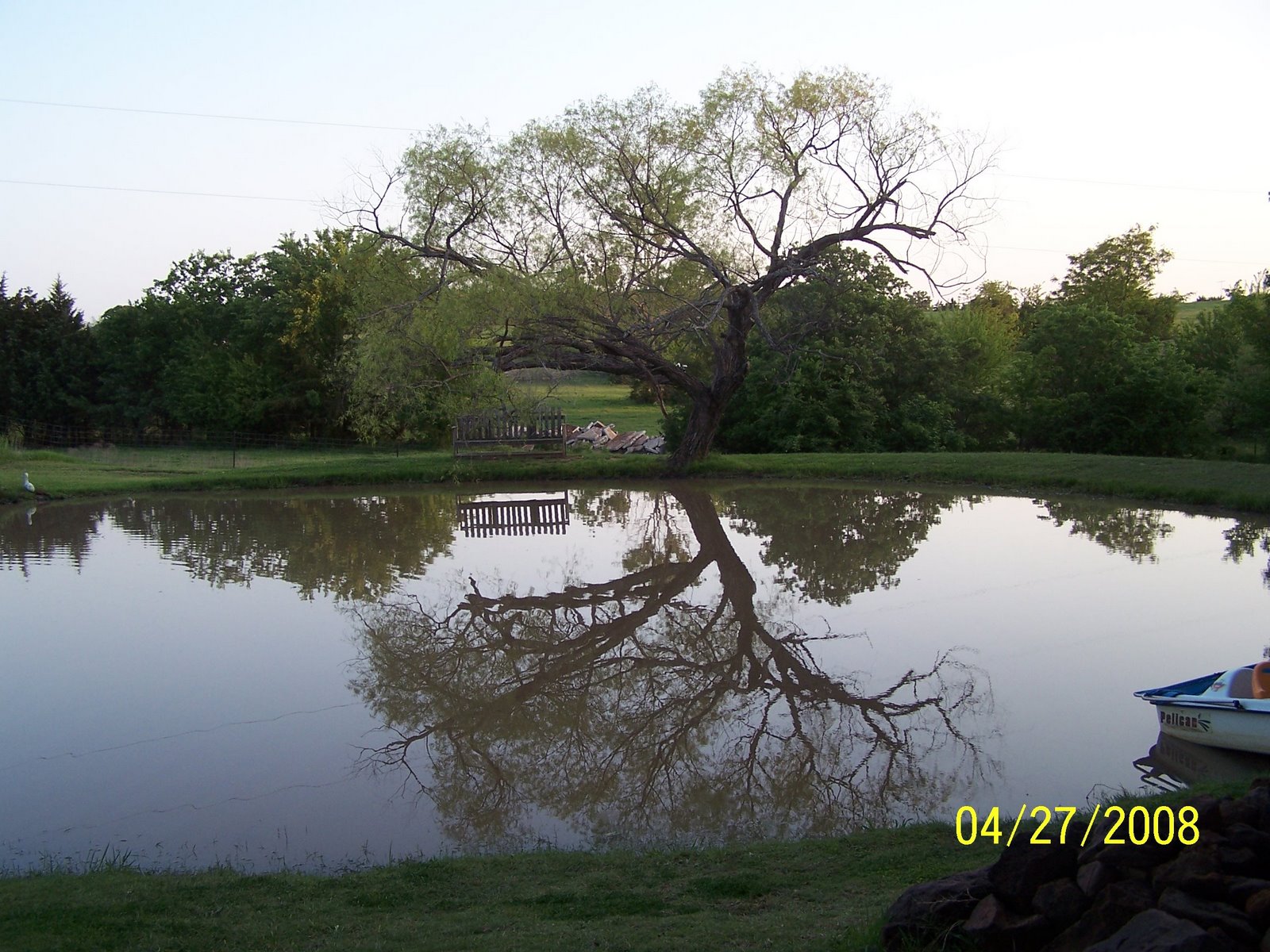 [TreeReflect2008.jpg]