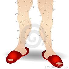 hairy+legs.jpg hairy+legs.jpg