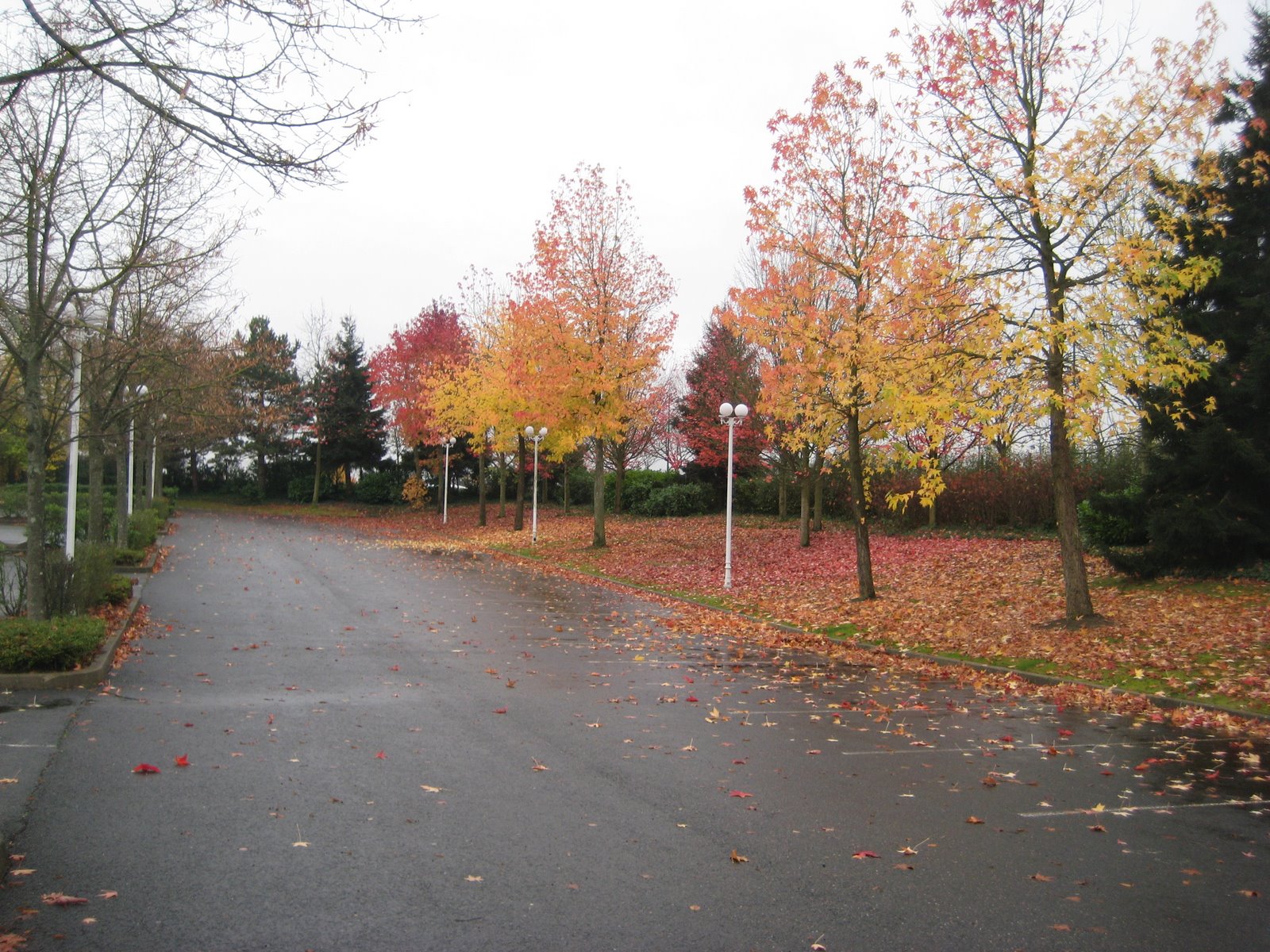 [IMG_5215.JPG]