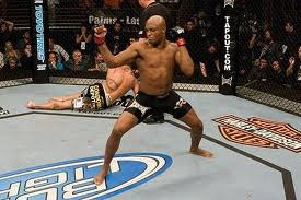 Anderson Silva vs. Chael