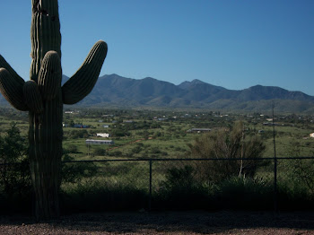 Green Desert