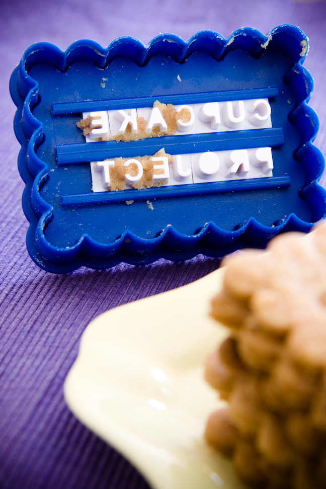 Homemade Biscoff Cookies Cupcake Project