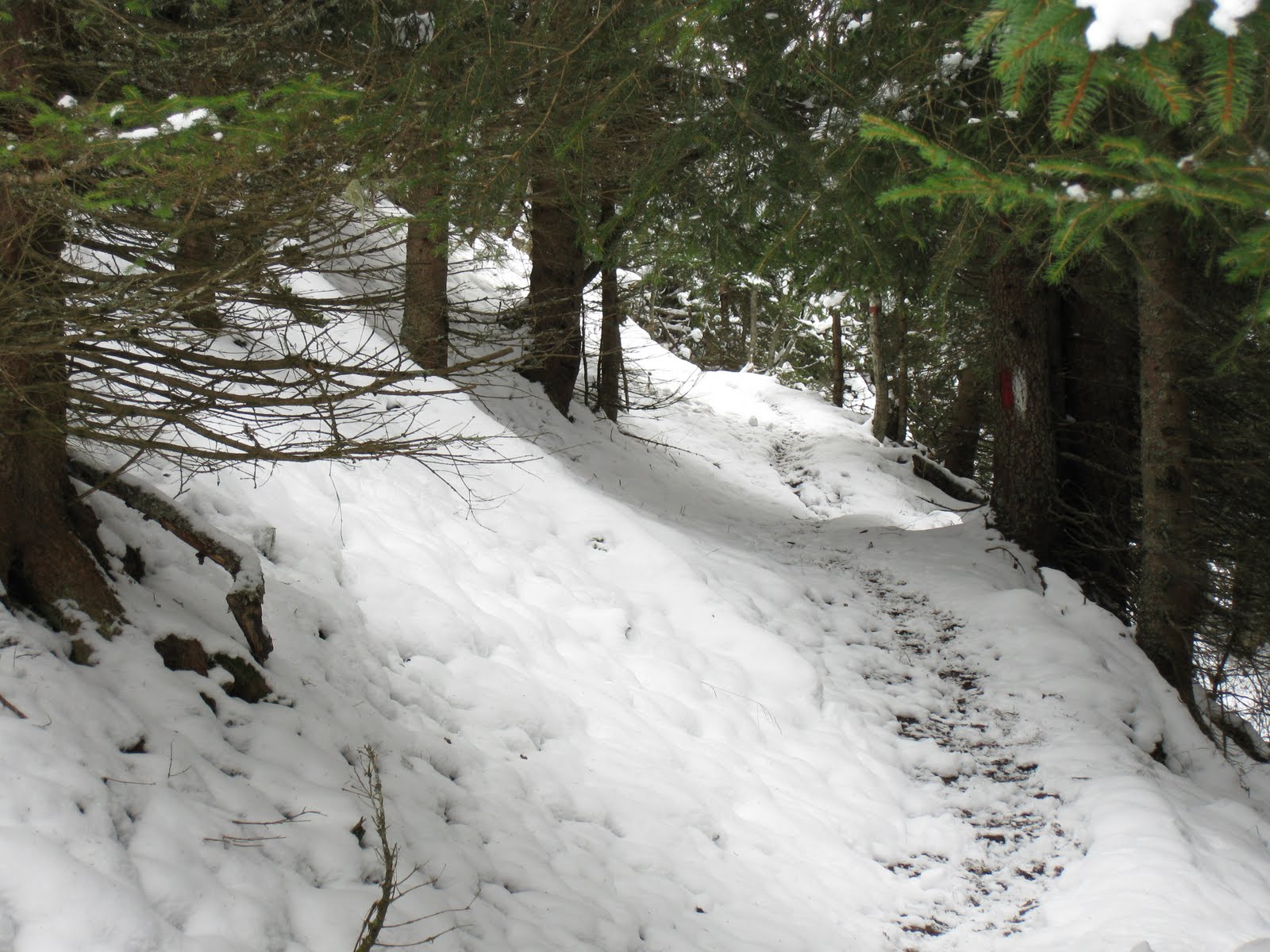 [Wandern+Bad+Gastein+Oktober+2009+024.jpg]