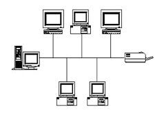 Topologi BUS