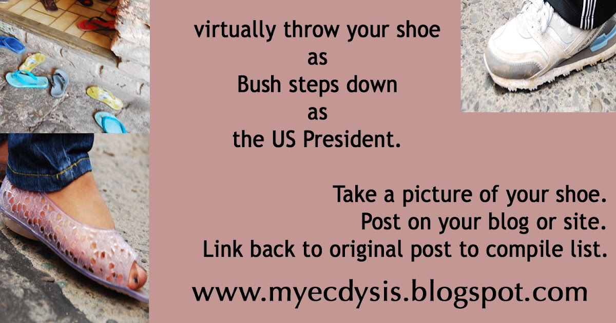 My Ecdysis Throw Your Shoe at Bush on January 20, 2009