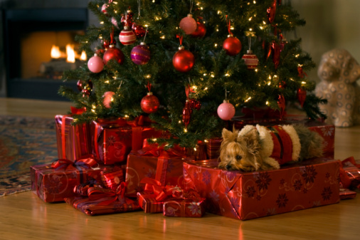 Lindaraxa: Christmas Gifts For The Cook In Your Life Lindaraxa: Christmas Gifts For The Cook In Your Life