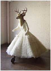 Dressed up animals