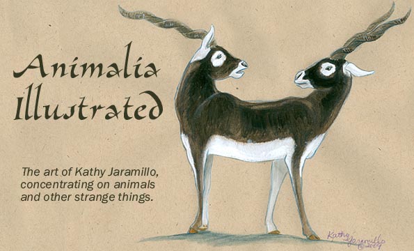 Animalia Illustrated