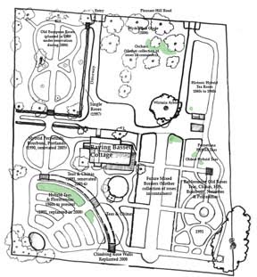 [Garden+Map:Pruning1:5:09.jpg]