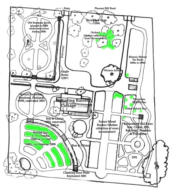 [Garden+Map+Pruning+1-18-10.jpg]
