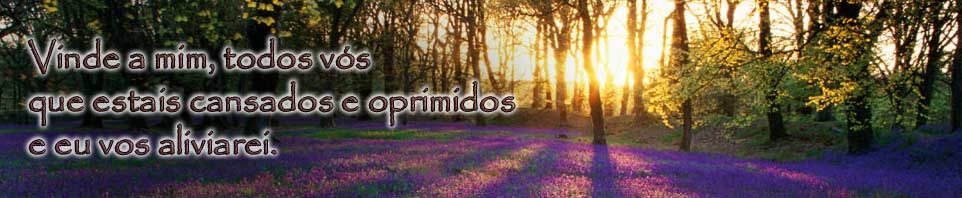 Obrigado Volte Mais Vezes