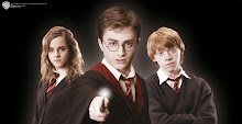 Harry potter y sus amigos.