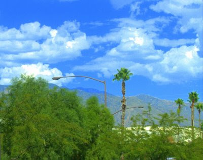 A perfect day in Tucson