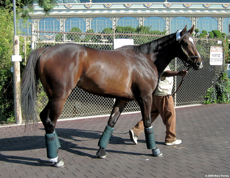 Wayman schooling for Howard Zucker