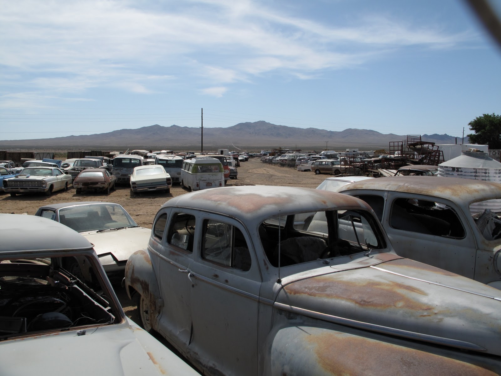 whatever�s cool with you Desert Caryard + Salton Sea