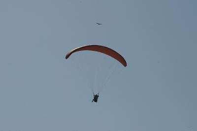 Paragliders, Miraflores