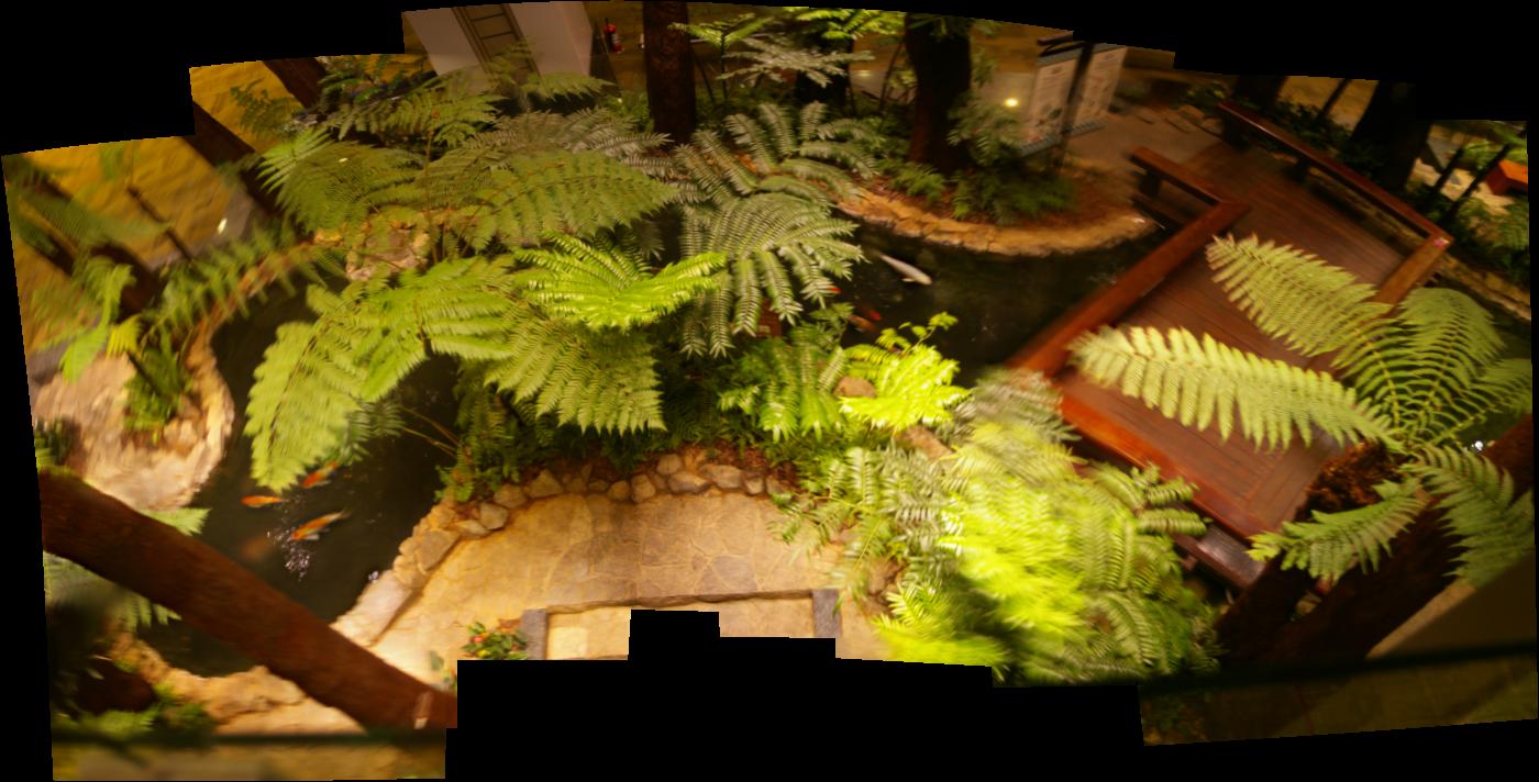 [fern+forest+changai+airport+pano+(from+above).jpg]