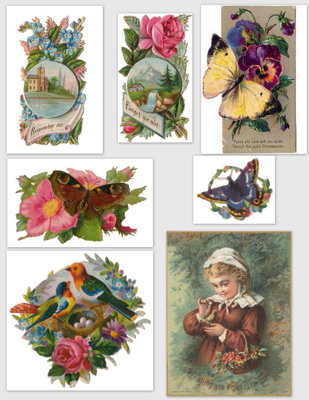 [~Butterflies+and+birds~5.jpg]