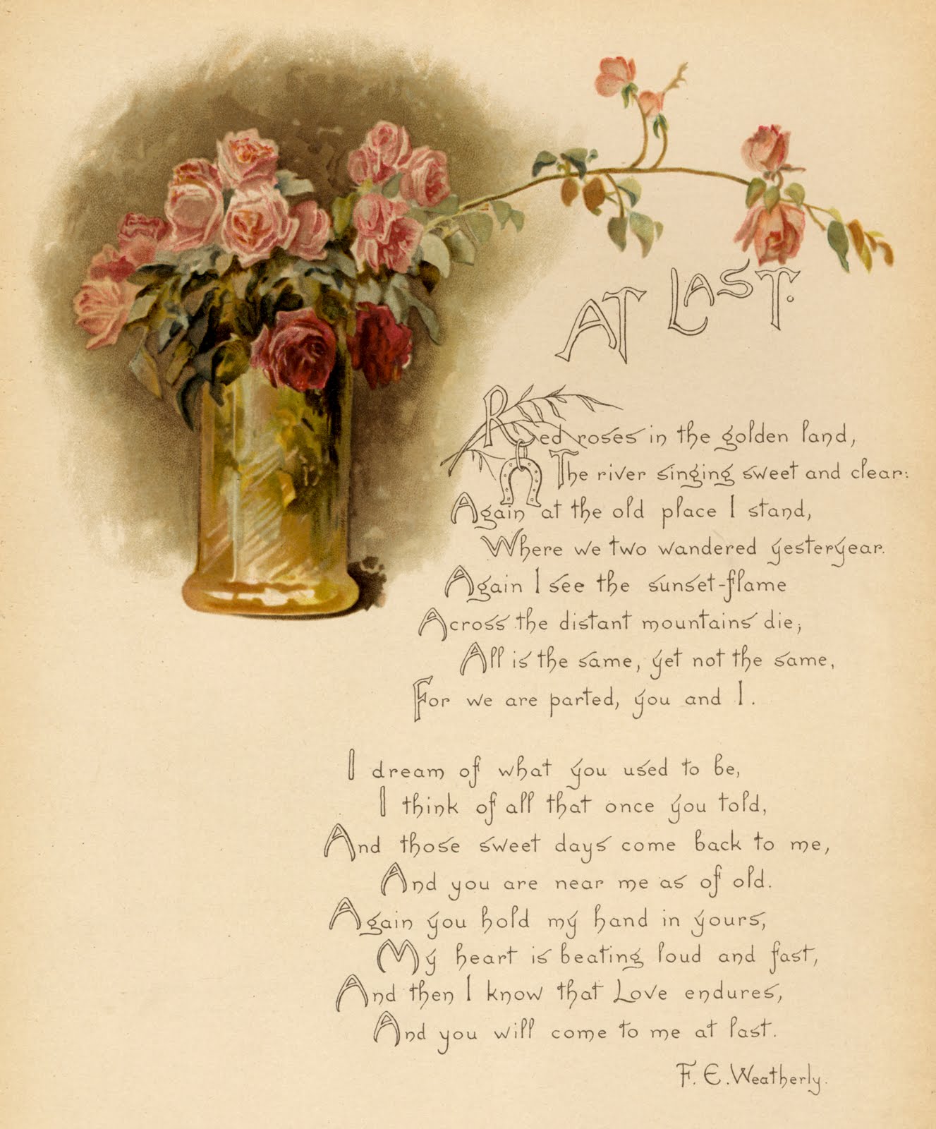 [Floral+Illustration+#4.jpg]