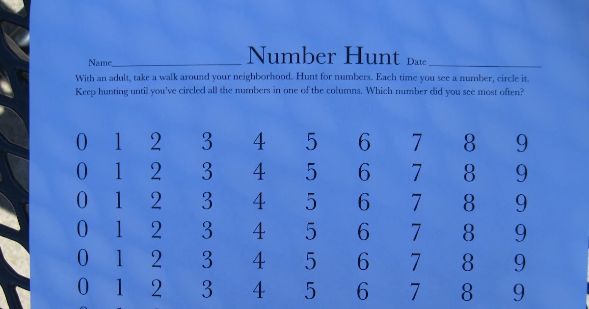 Number hunt activity picture