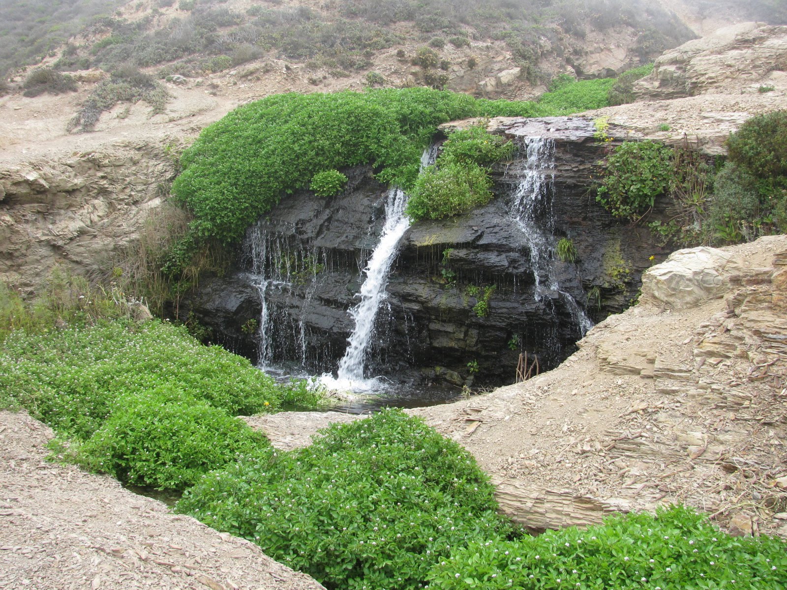 [IMG_2000.JPG]