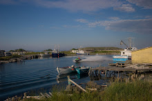 Ferryland, Newfoundland