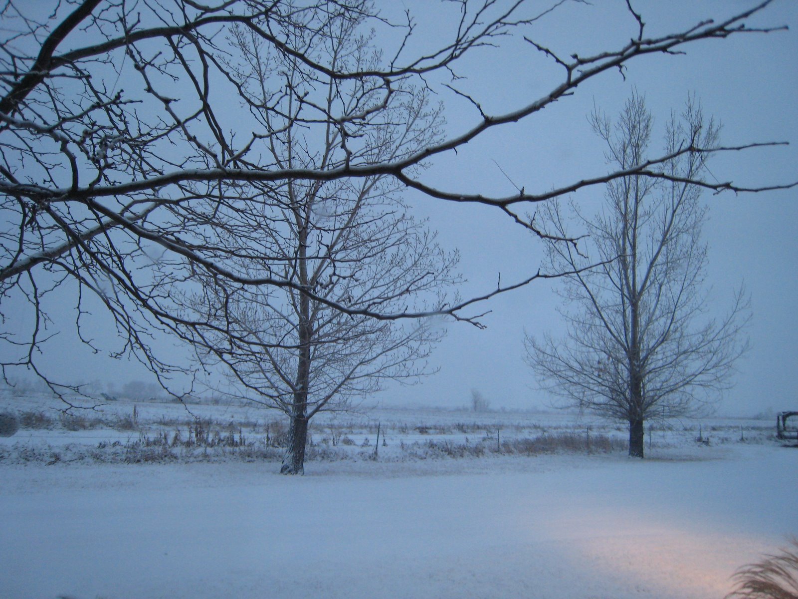 [December+2006+1289.jpg]