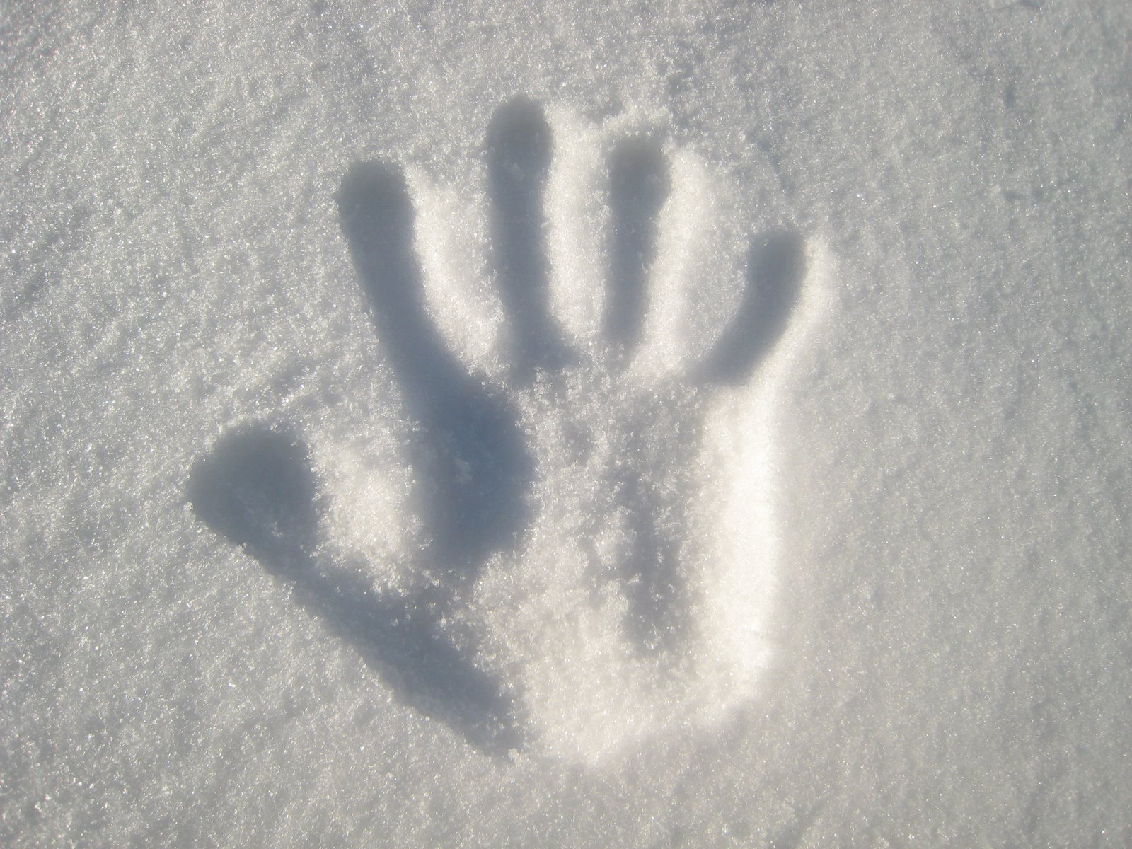 [December+2006+1587.jpg]