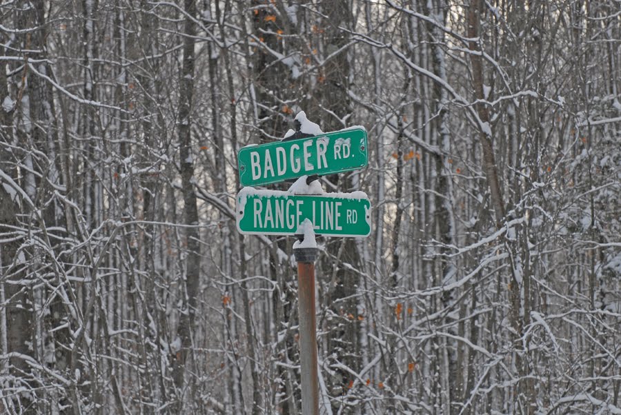 [Badger-Rangeline-Sign.jpg]