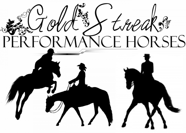 GS Performance Horses