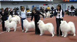 Arttulan ROP-kasvattaja