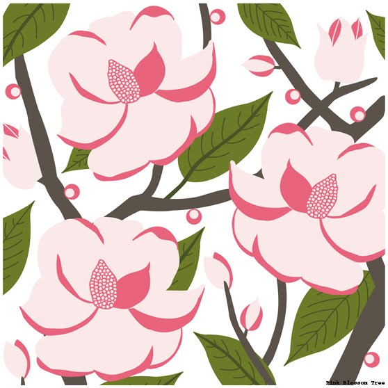 pink magnolia tree pictures. Magnolia Love